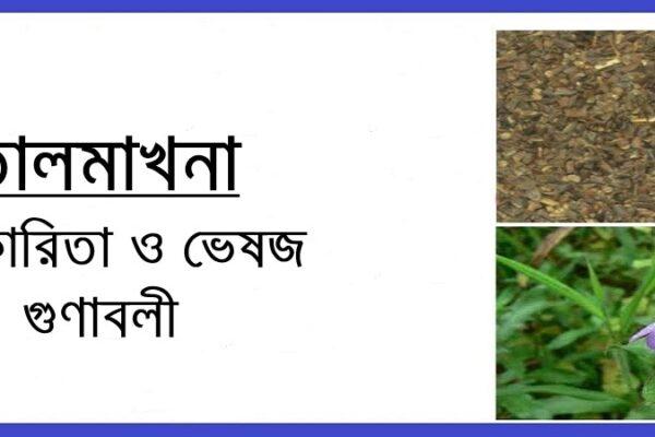 তালমাখনা