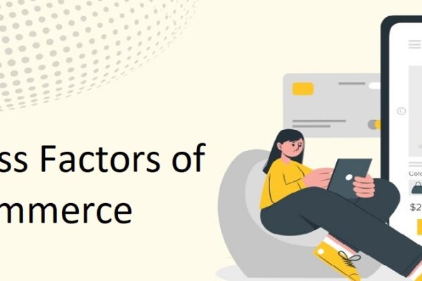 success factors of ecommerce